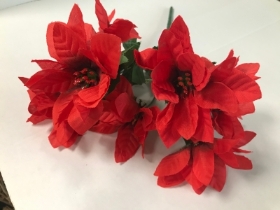 Red Poinsettia Bush